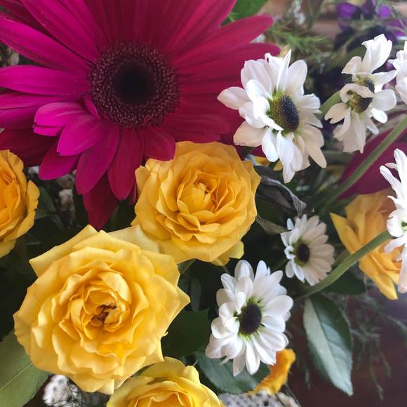 Meet your Posher, Jaime - Picture 1 of 1